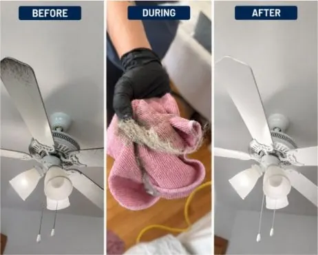 Before and after photo of the ceiling fan: Every blade hand-wiped. No dusters.